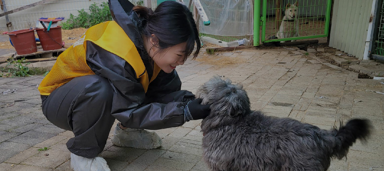 선진펫 기부활동