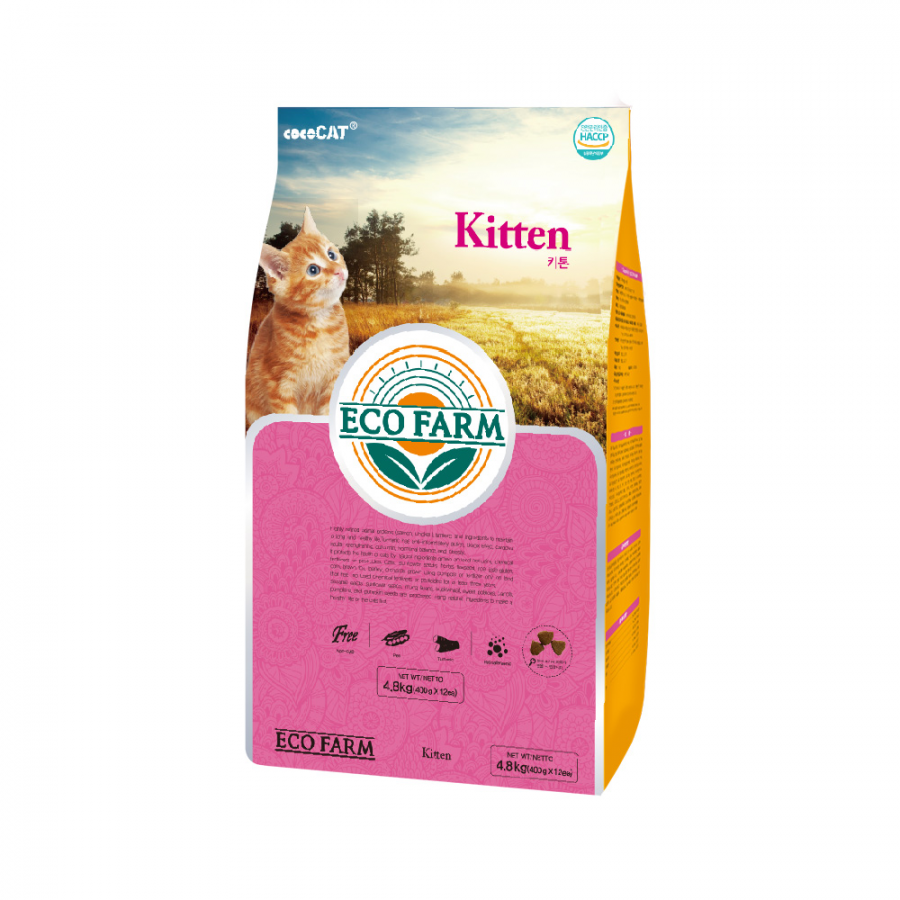 에코팜 캣 키튼 1kg / 4.8kg