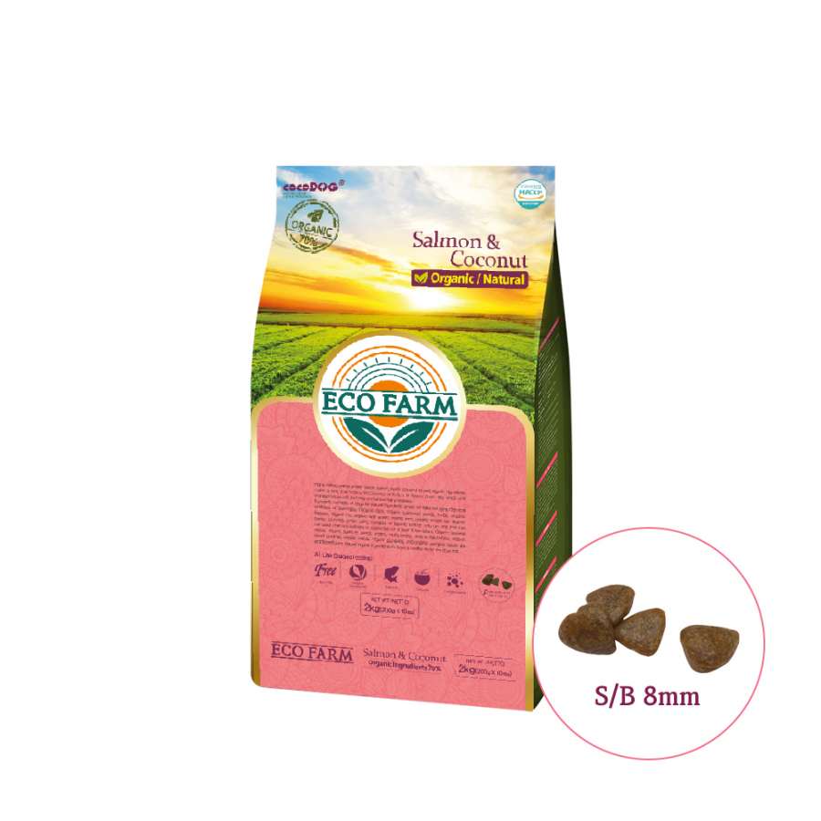 에코팜 독 연어&코코넛 2kg / 6kg