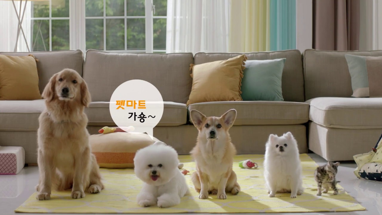 펫마트 TV CF 20"