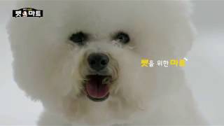 펫마트 TV CF 30"
