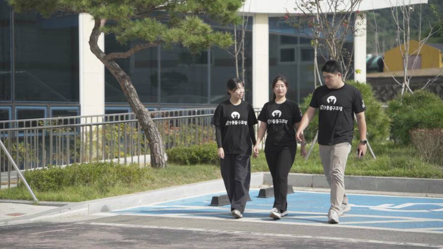 [펫마트X3677 동물구조대] 의료지원이 필요한 동물들을 위해 펫마트의 거금도 출동기!